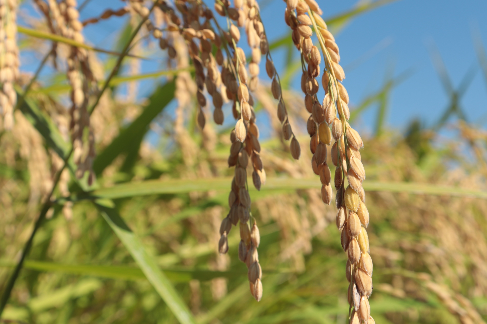 Worldwide freight services