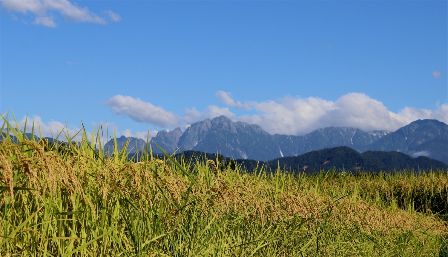 Worldwide freight services