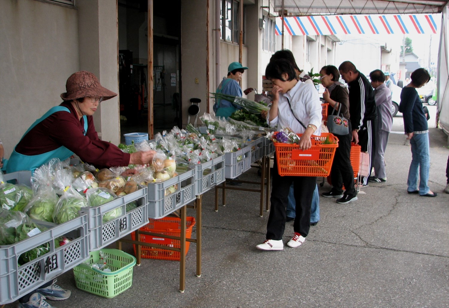 Worldwide freight services