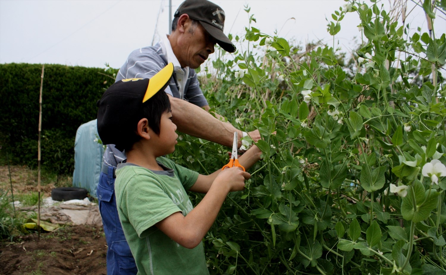 Worldwide freight services