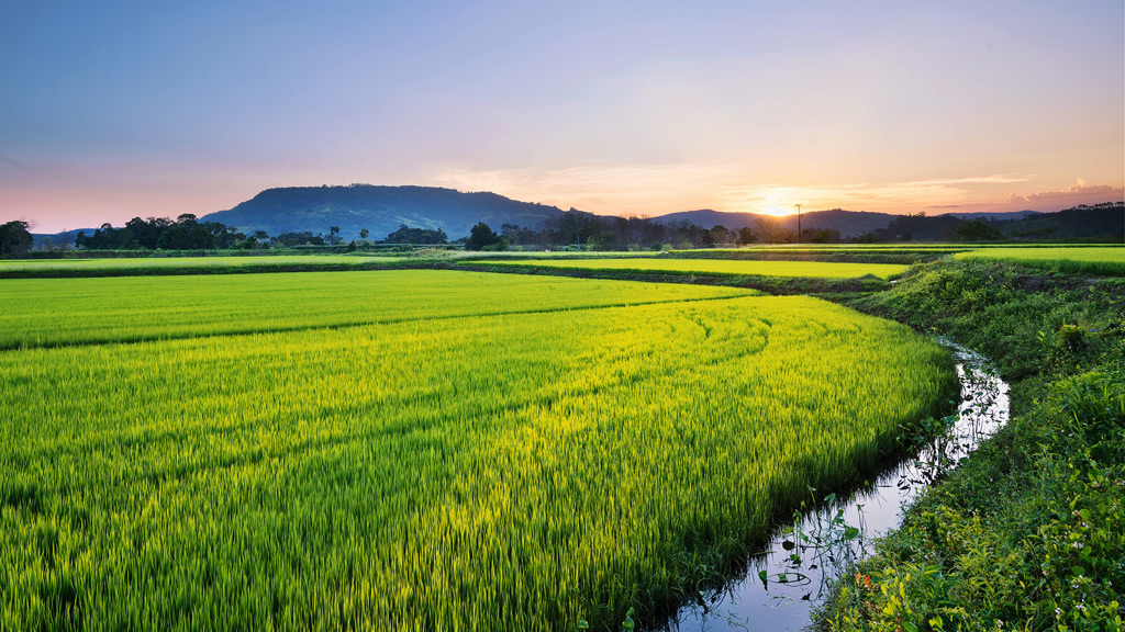 Worldwide freight services